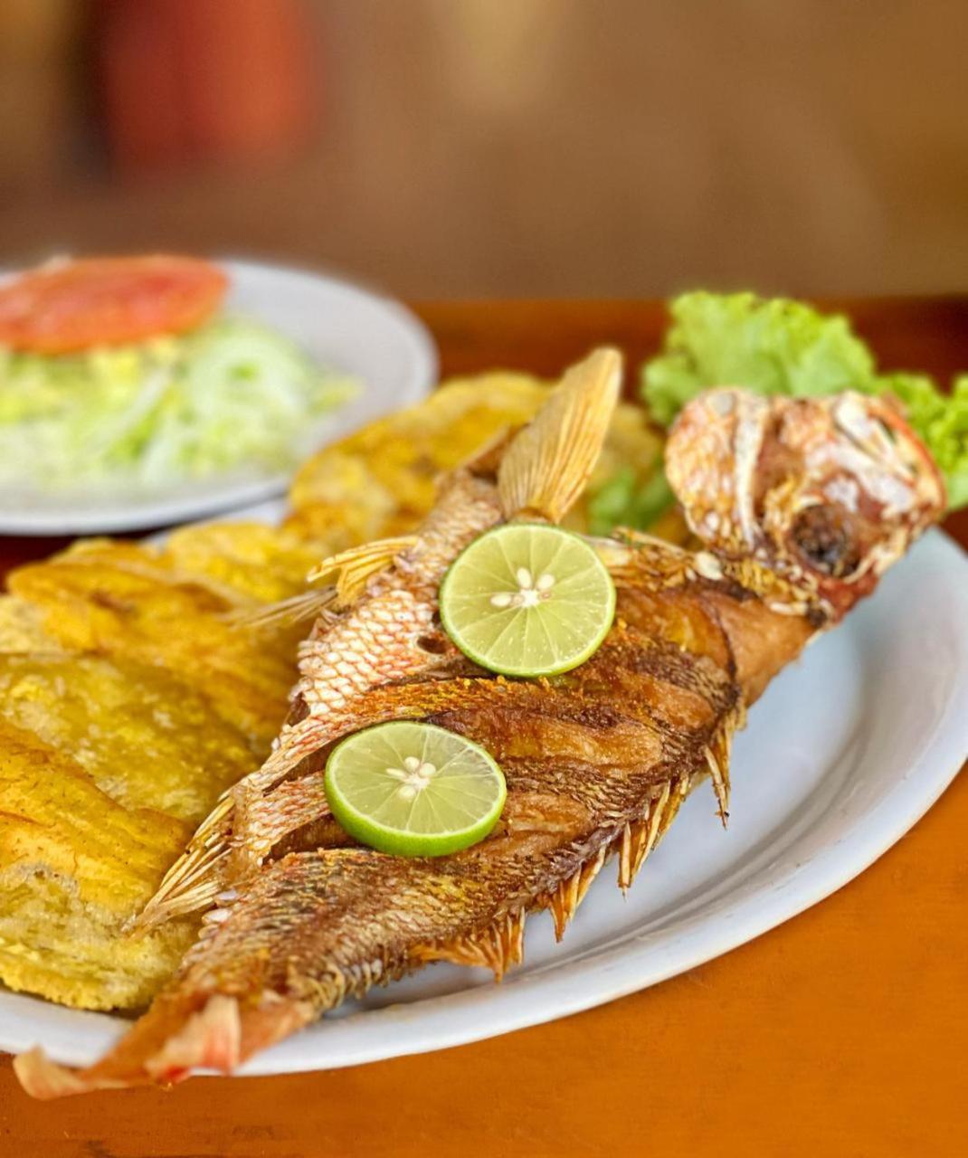 Arca Tayrona Restaurant & Hostal Los Naranjos Exterior foto